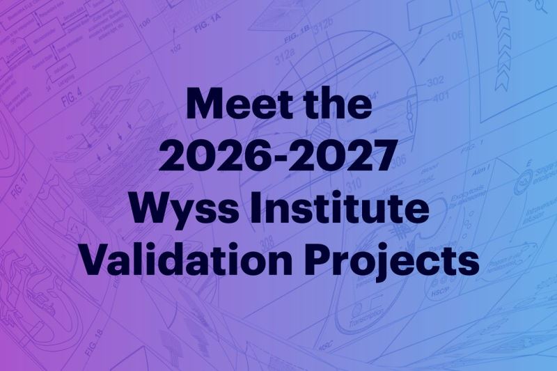 [驗證研究] 哈佛Wyss研究所公布年度聚焦23項驗證計畫：AI應用、非動物模型與跨領域合作研究